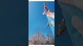 岡山 ～春巡り～