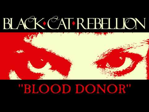 Black Cat Rebellion - 