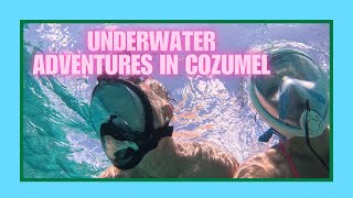Best Snorkeling Experience in Cozumel!