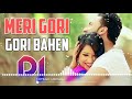 Meri GoRi GoRi BAHEN Dj Song