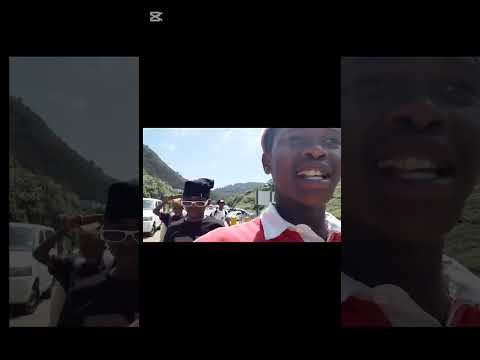 A day with the walkers at the beach 