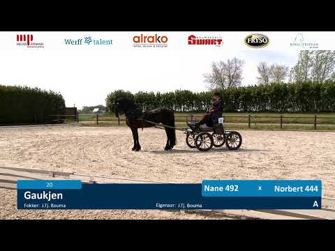 IBOP Wergea | 4 mei 2023