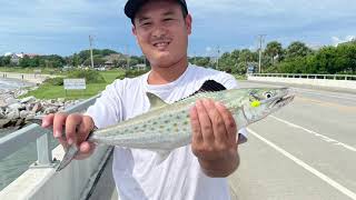 Spanish Mackerel Fishing at Breach Inlet (Plugging)(catch,clean,cook)
