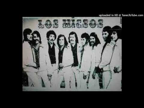 Los Hicsos - El gato viudo