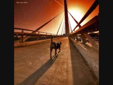 Dos Tardes De Mi Vida - Austin TV