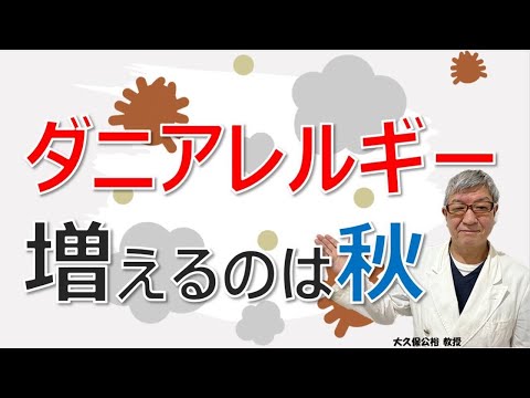 鶏のワクモの治療法は何ですか?イエダニを駆除するために取るべき手順  庭園