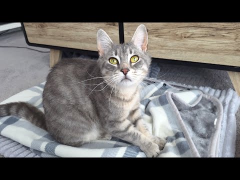 YouTube 썸네일