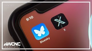 What is Bluesky? New social media app challenges Elon Musk-owned X