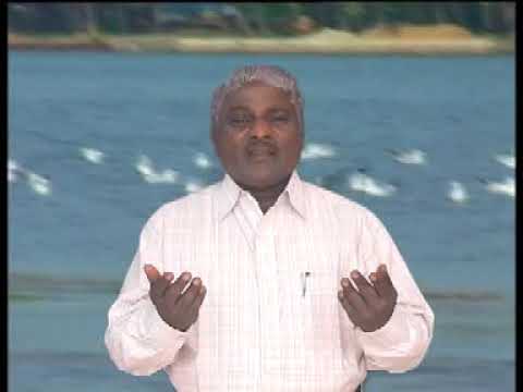 Najeevita sagarana regenu penugali van