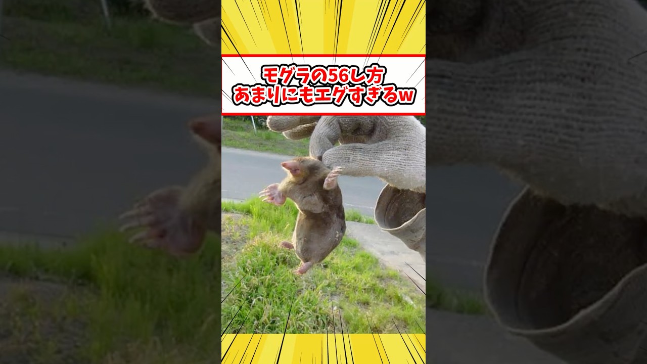【ショート反応集】農家に目をつけられたモグラの末路がヤバすぎるwwwww #shorts #2ch #2ch動物スレ