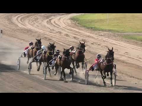 Trka "Dužijanca 2022-I trčanje" 24.7.2022. Amy del Duomo - Vladimir Pribić