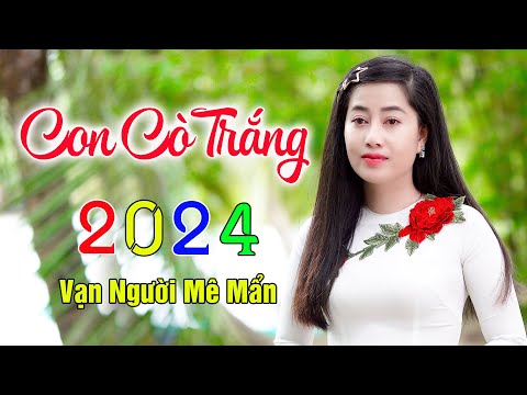 CON CÒ TRẮNG ✔️ Mở Nhẹ Nhàng Liên Khúc Rumba, Cực Hay,Ngủ Cực Say. Thúy Duy, Hoàng Diễn