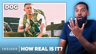 Military Dog Handler Rates 8 Military Dogs In Movies And TV | How Real Is It? | Insider