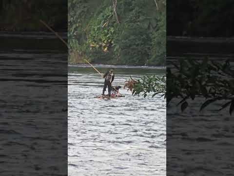Bocas del Toro. grupos indigenas.
