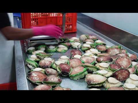 Seafood Safety 280617 v4