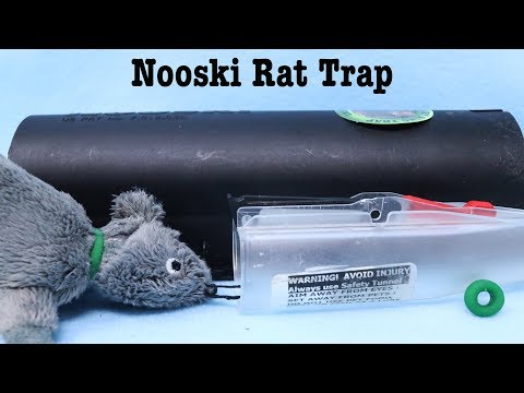 The Nooski Rat Trap From New Zealand. Mousetrap Monday.