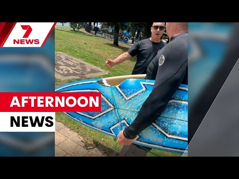 Youth narrowly escapes fatal shark attacks; Sydney Fish Market's grand opening | 7NEWS