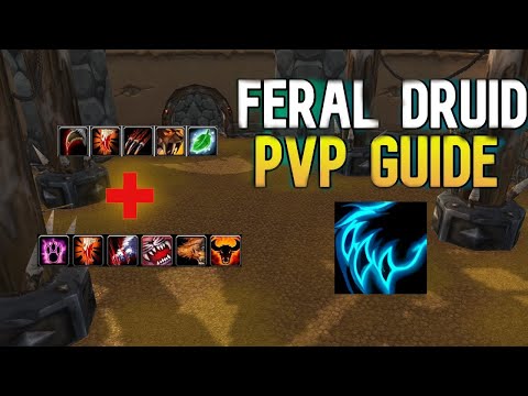 classic wrath- feral pvp guide how to beat war, heal pala 2v2 arena EXPLINATION
