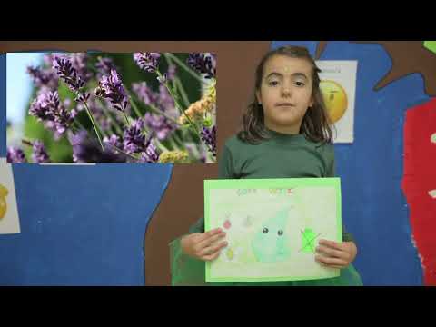 CADA GOTA CUENTA, ¡TÚ PUEDES!