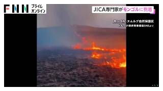 モンゴルの草原火災の復旧支援でJICA専門家が現地に（2026年10月29日）