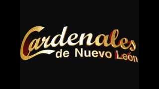 MIA LOS CARDENALES DE N L