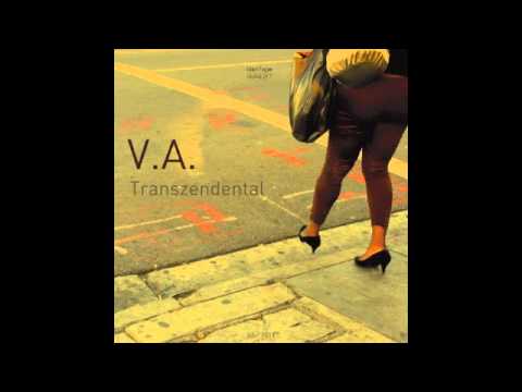 Various Artists - Transzendental