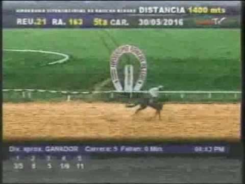 Resumen Lunes, 06 de Junio de 2016 -  Rancho Alegre