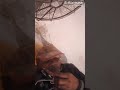 Teri Meherbaniyan Teri Kadardaniya