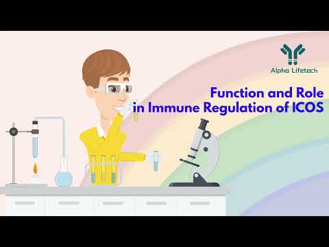 Alpha Lifetech: Quick 3-Minute Guide to CD278/ICOS 🔍✨