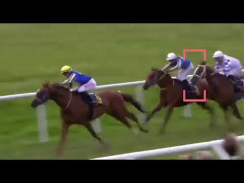 SHEIKH ZAYED BIN SULTAN AL NAHYAN CUP - LISTED - GARDET - STOCKHOLM - 06/06/2022