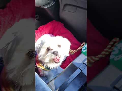 another year with my best friend