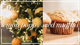 GARDEN RECIPE | Lemon Poppy Seed Muffins with Lemons from the Garden | Cozy Baking Day Collaboration