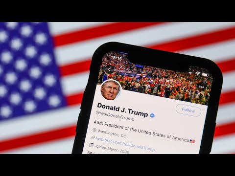 ‘A hero’: Elon Musk will reverse Donald Trump’s Twitter ban