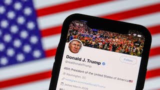 ‘A hero’: Elon Musk will reverse Donald Trump’s Twitter ban