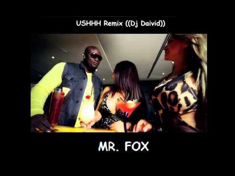 Mr Fox - Ushhh ((Reggaeton Remix by Dj Daivid))