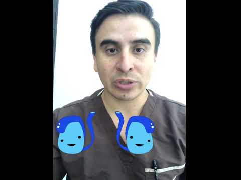Dolor Testicular