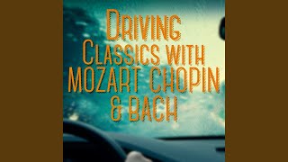 Simple Symphony, Op. 4 : II. Playful Pizzicato (Arr. for String Quartet)