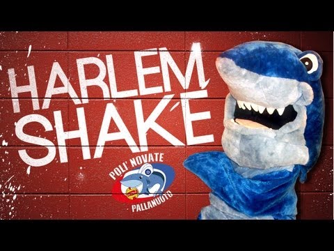 "Harlem Shake" - Polì Novate