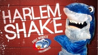 preview picture of video 'Harlem Shake - Polì Novate'