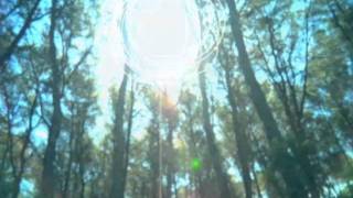 Dragonflies (Cantoma remix) - Josè Padilla &amp; Kirsty Keatch