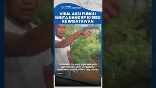 Viral Aksi Pungli di Curug Cibaliung dan Ciburial, Pelaku Palak Wisatawan Rp 10 Ribu