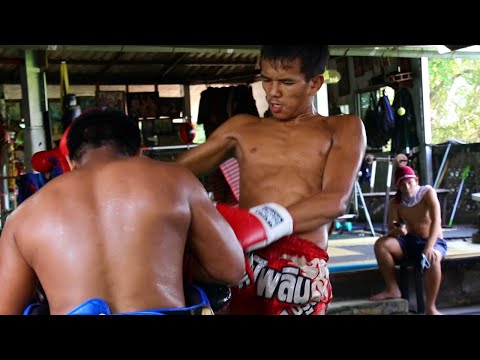 19 year old Thai Fighter rips Pads at Sangtiennoi Gym