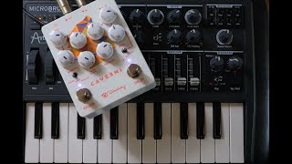 Keeley Electronics - CAVERNS 2 delay and reverb - Analog Synth DEMO
