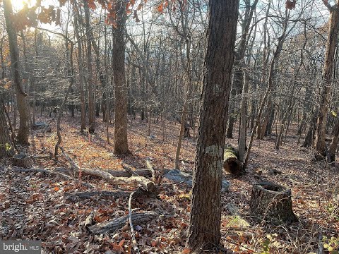 NEW LISTING: STONE RIDGE Road HARPERS FERRY WV 25425