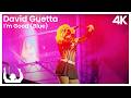 SYNTHONY David Guetta I M Good Blue Live At The Auckland Domain 2024 ProShot 4K