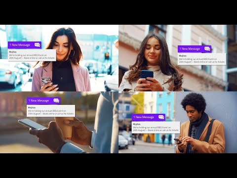 Springo Marketing Explainer