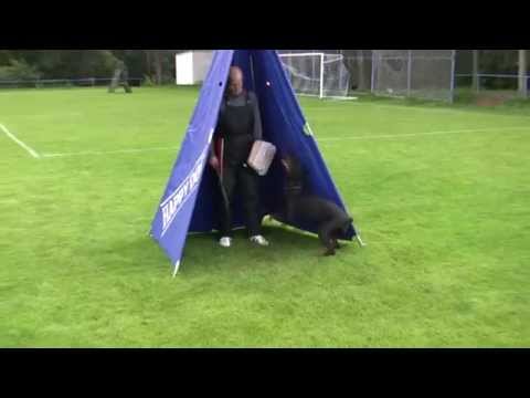 Krystal Kasey Alary Aslar - protection training 28.8.2014