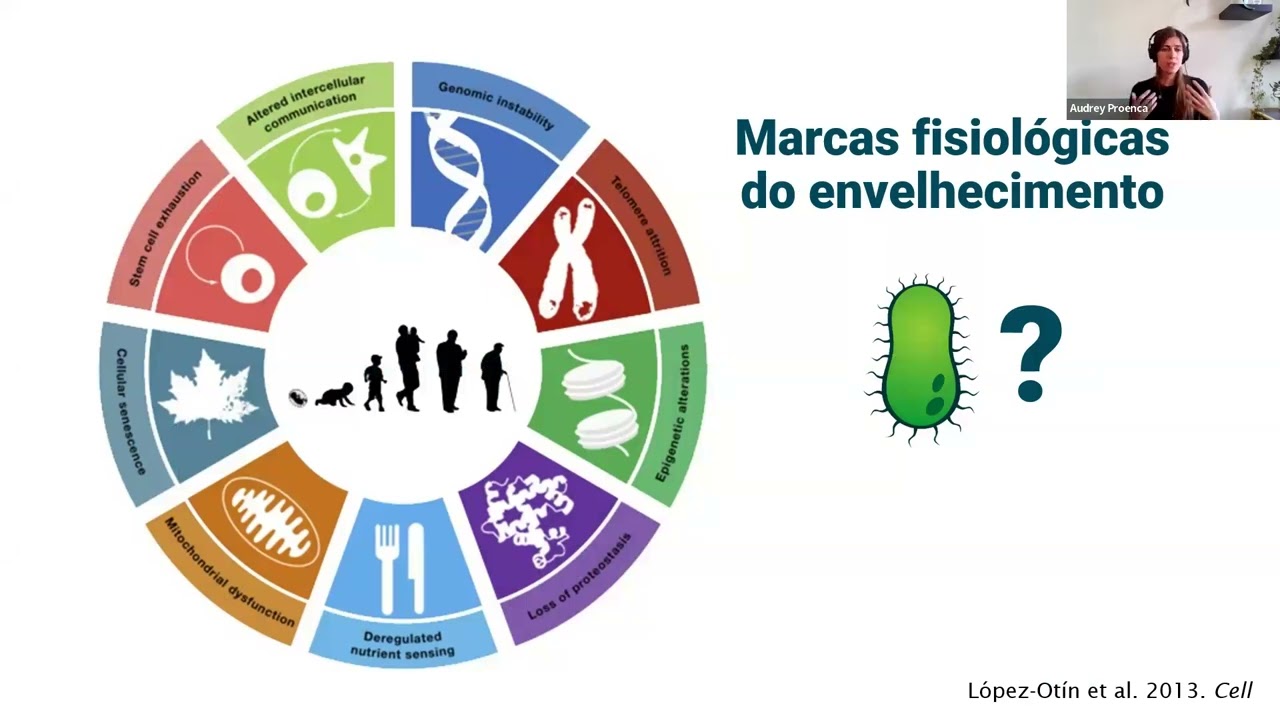 Audrey Proença: Células jovens, células velhas: como envelhecem as bactérias?
