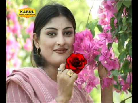 BIBI SHERIN,,,,,,URDU+PASHTO SONG....