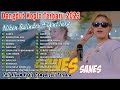 Niken Salindry SANES Ambyar Bareng Penonton Dangdut Koplo Terbaru 2023